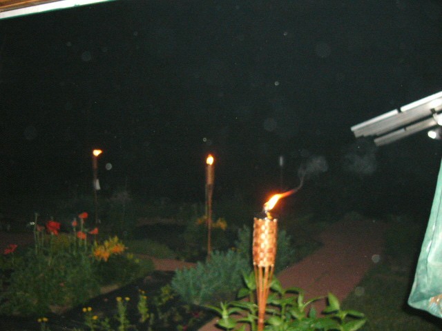 P1010407